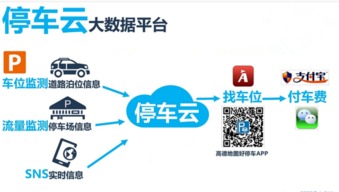 智行未來 互聯(lián)網(wǎng)大數(shù)據(jù)時(shí)代下的智慧停車解決方案